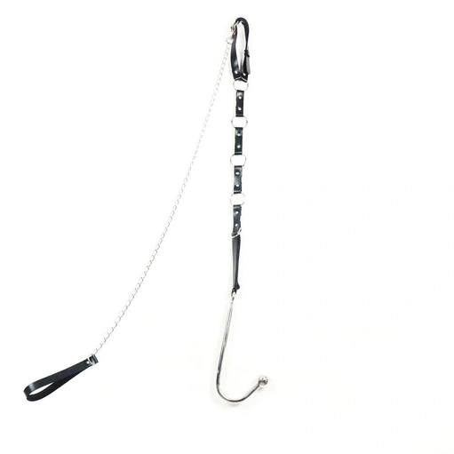 Anal Hooks with Leash Anal Kinky and Collar Hook EverydayUse 5853 0911